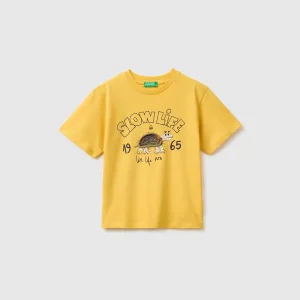 T-shirt com estampado tartaruga